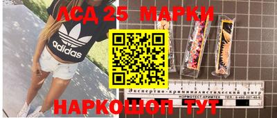молекула духа Будённовск