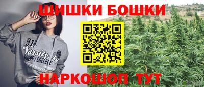 молекула духа Будённовск