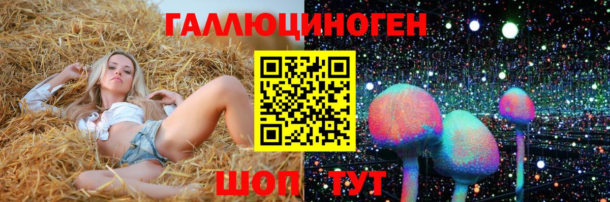 Галлюциногенные грибы Cubensis  Вход с VPN  Улан-Удэ 