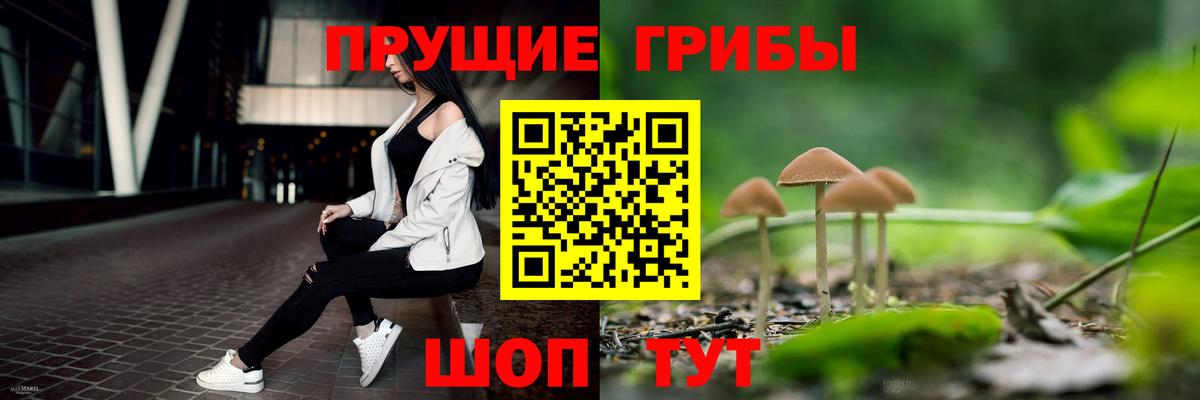 Псилоцибиновые грибы Cubensis Улан-Удэ